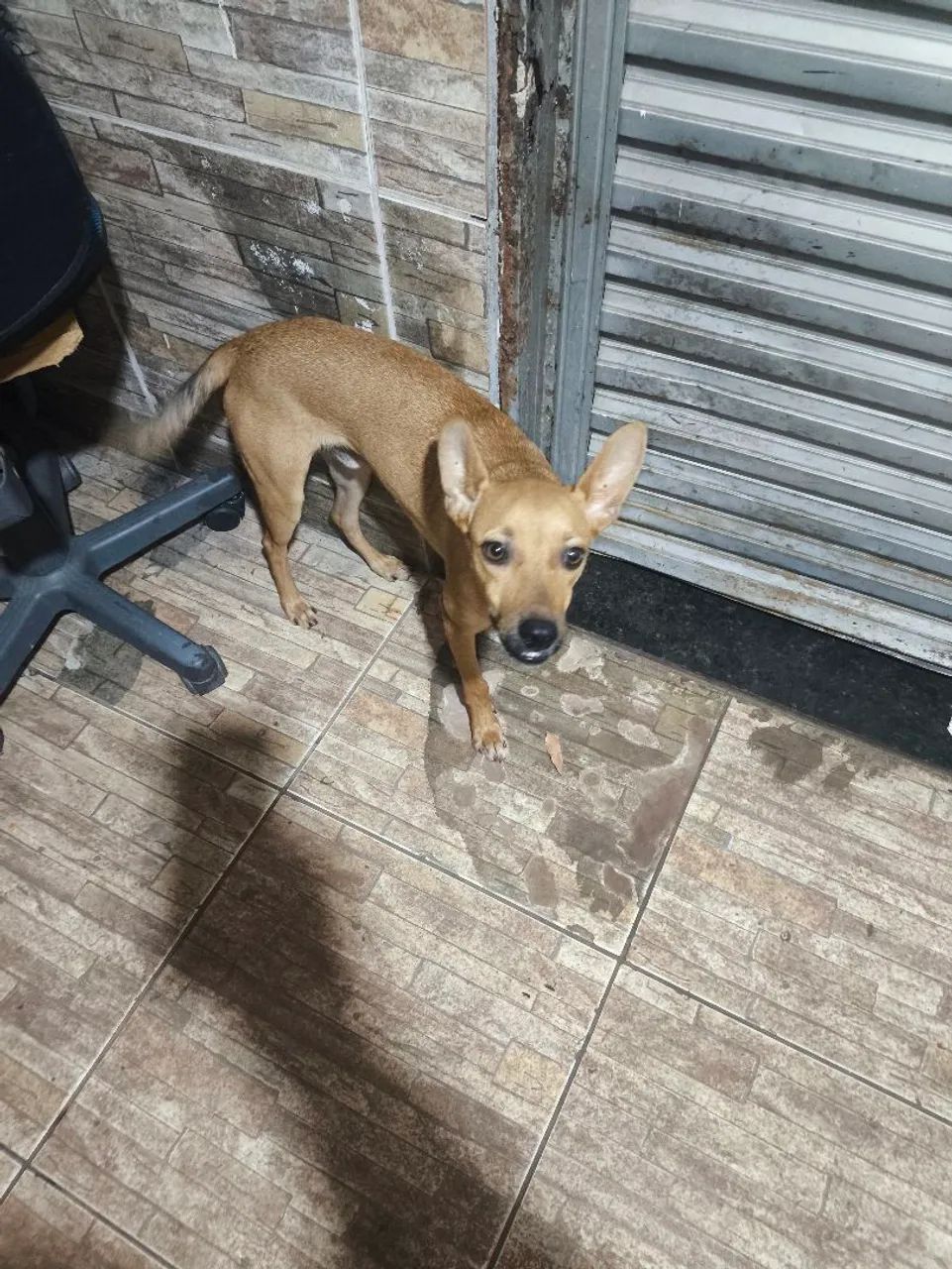 Doação  - Foto 2