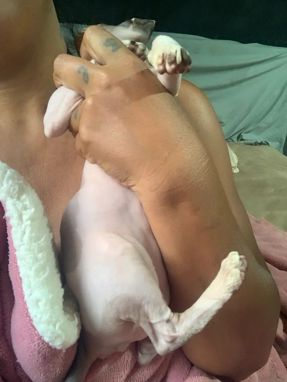 Fêmea 3 meses - Foto 3