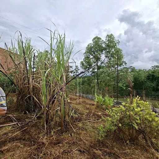 Chácara em Jardim Edisom da Silva Lima - Marília - Foto 5