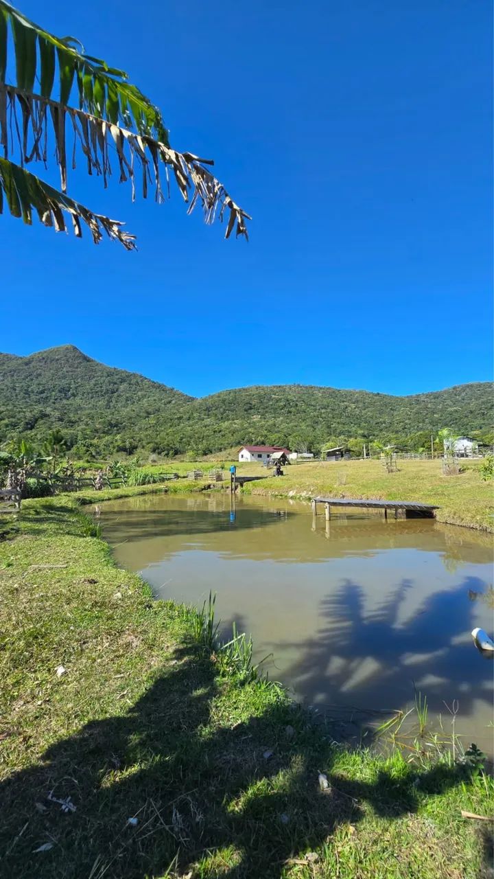 Lindo Sítio, estrada Timbé  - Foto 3