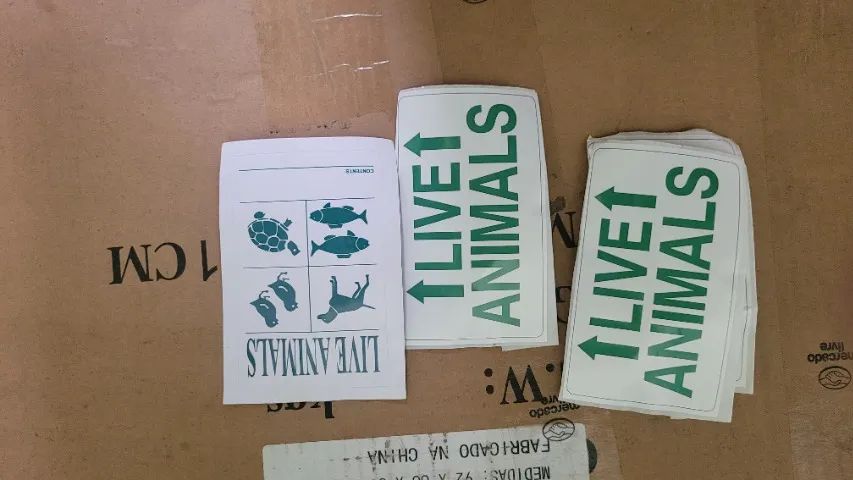 Caixa Transporte Pet Dogfly Padrão IATA Avião Tamanho 6 N6 - Foto 6