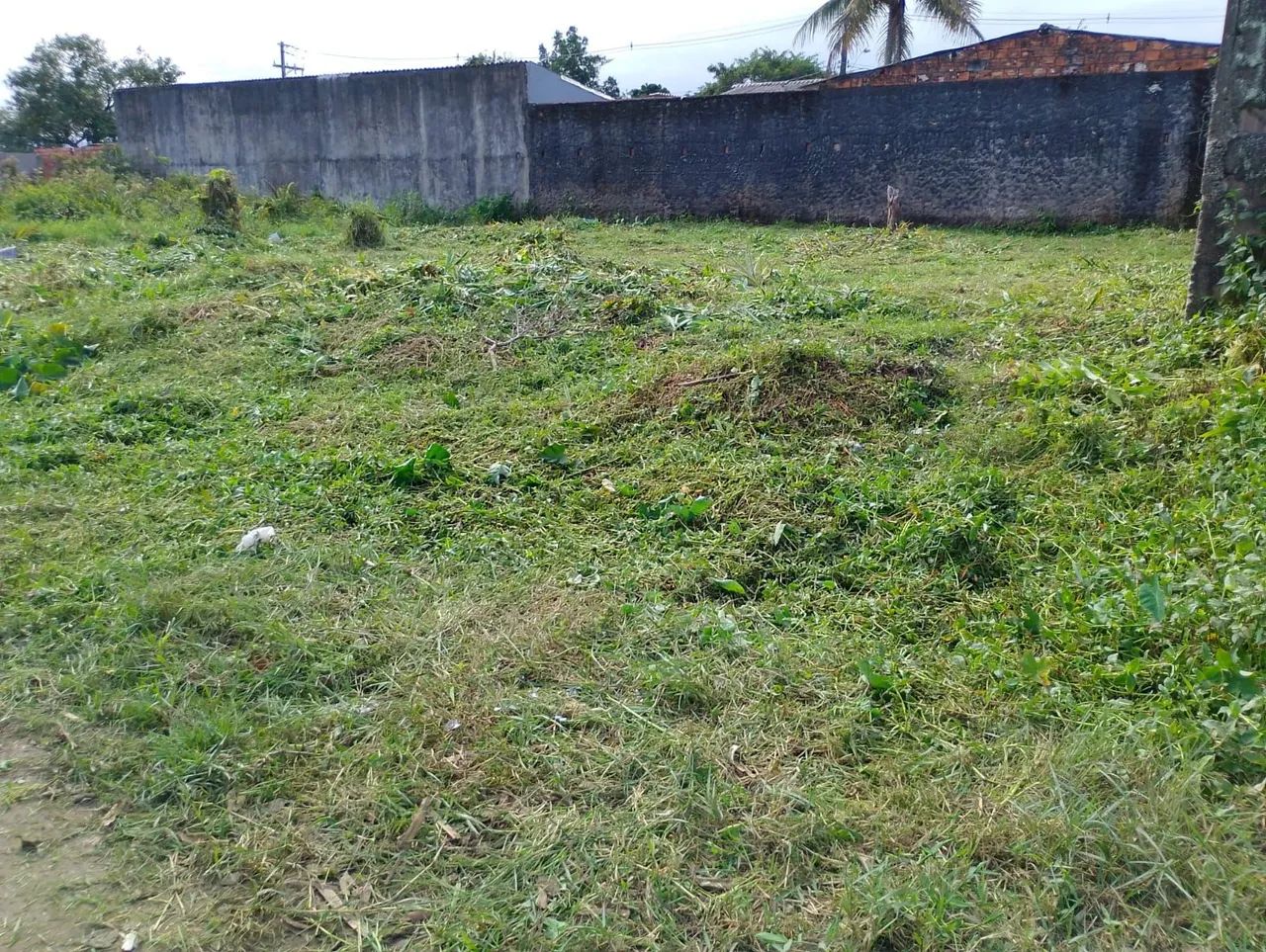 Terreno em Peruíbe  - Foto 2