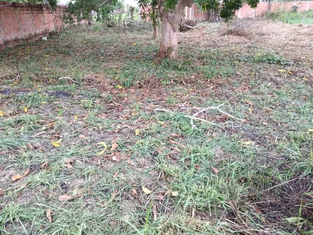 OTIMO LOTE NA VILA ACRE, 25m X 40m  - Foto 3