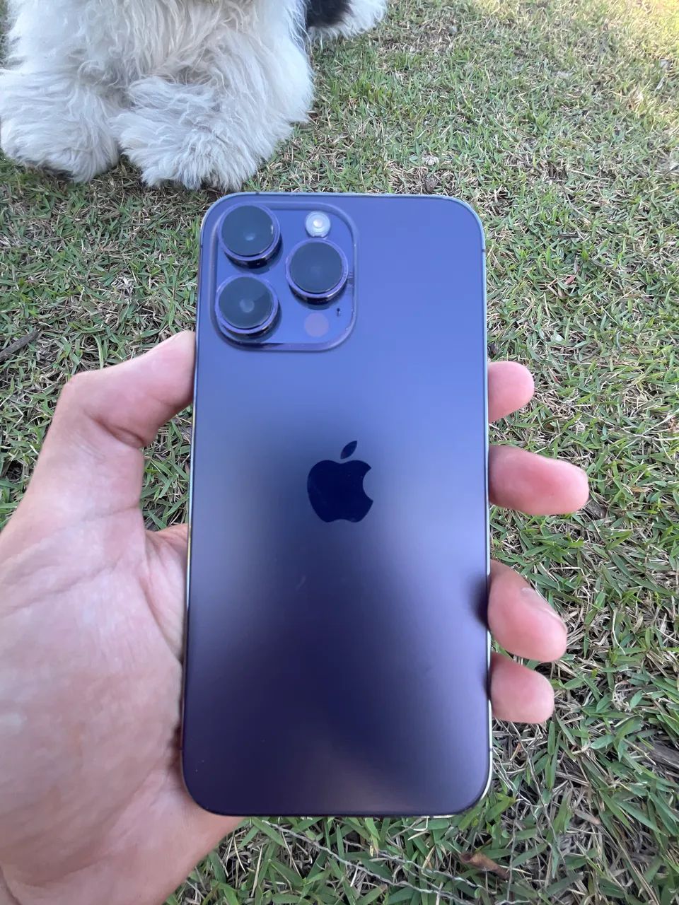 Iphone 14 pro max 256gb