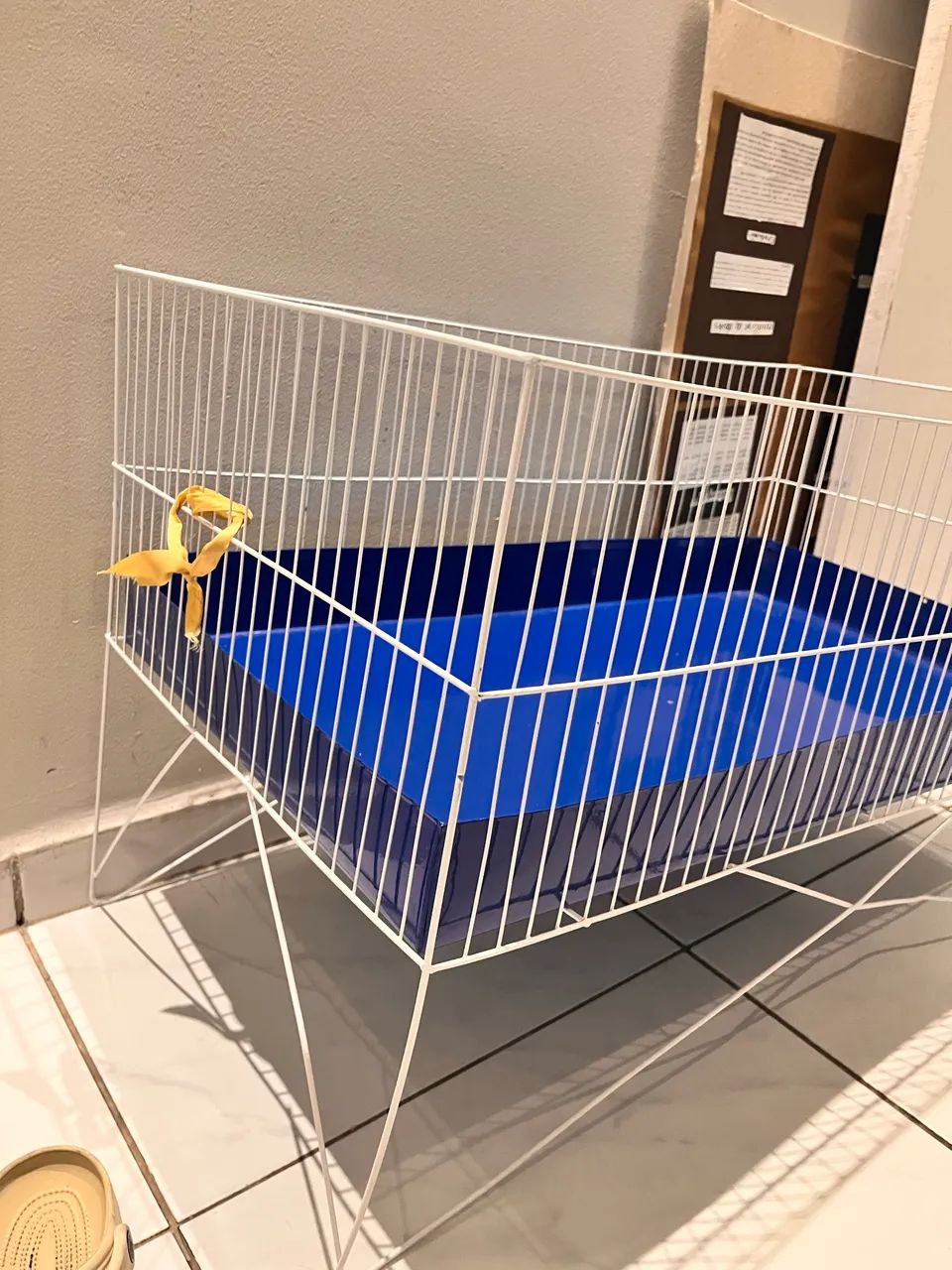 Berço para Porquinho da Índia  - Foto 2