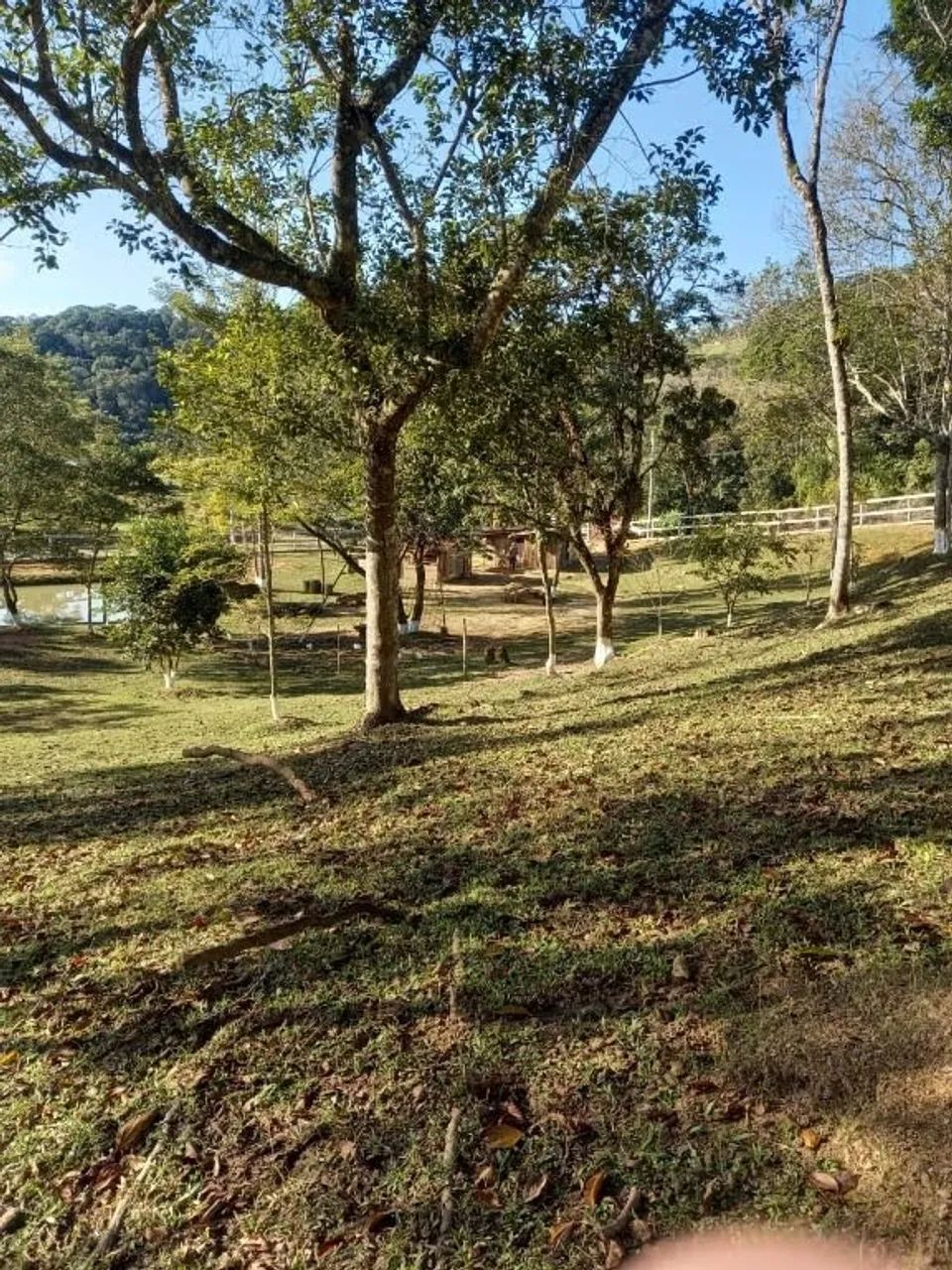 Sítio à venda, 3 m² por R$ 700.000 - São Sebastião - Palhoça/SC - Foto 7