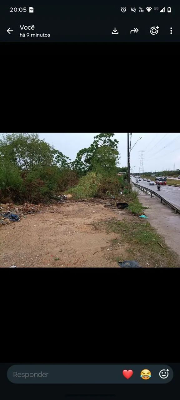 Terreno Cidade Nova(ribeiro junior) - Foto 3