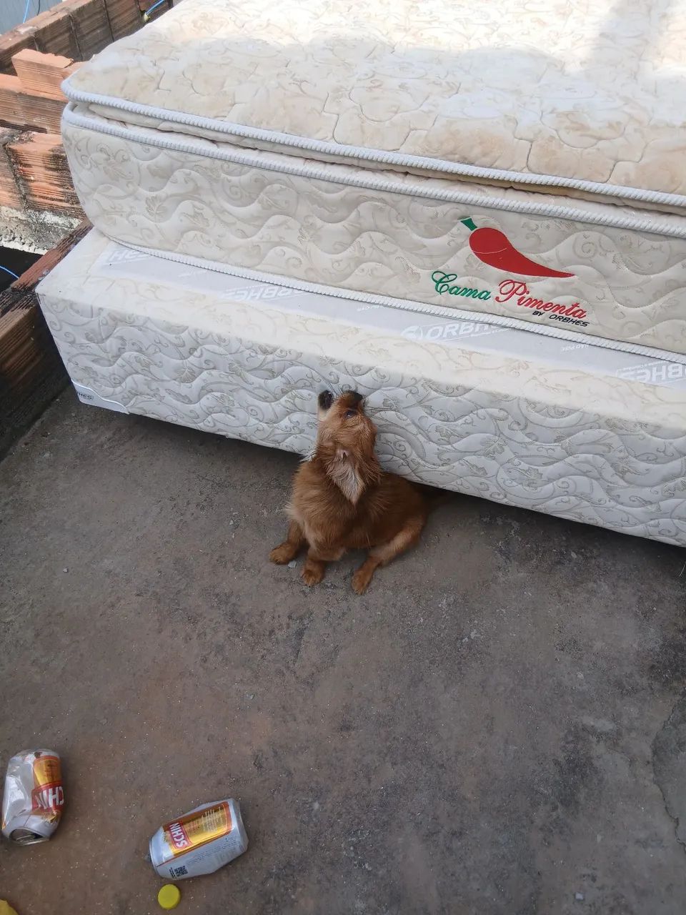 Doação 