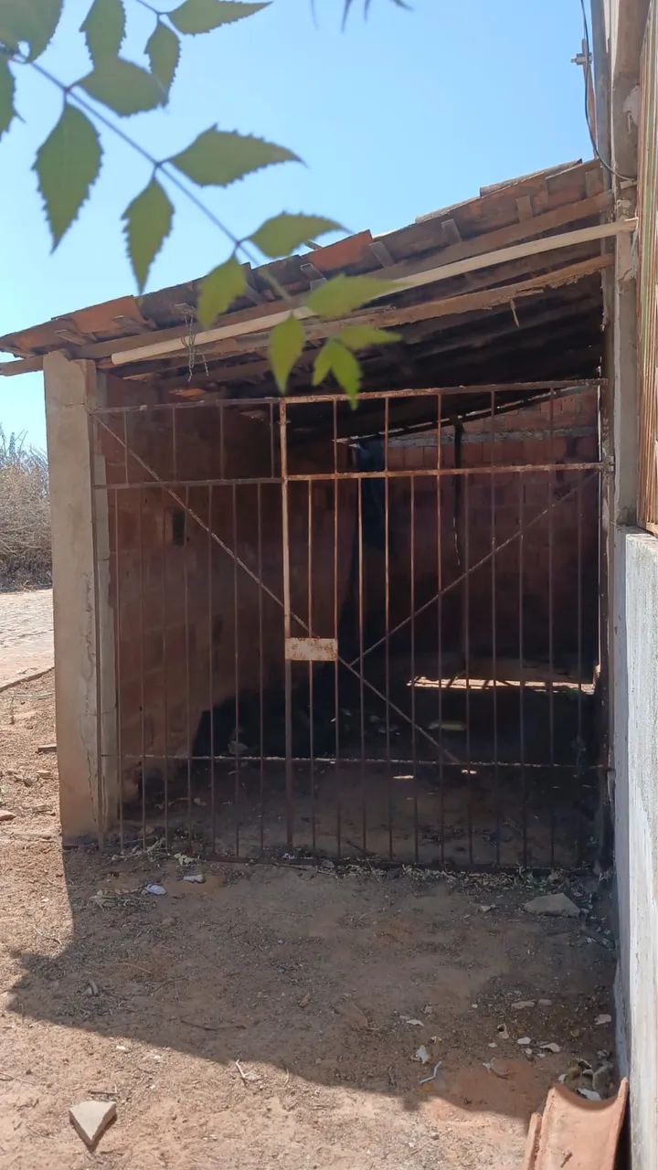 Vendo Casa Município Anisio de Abreu/PI - Foto 2