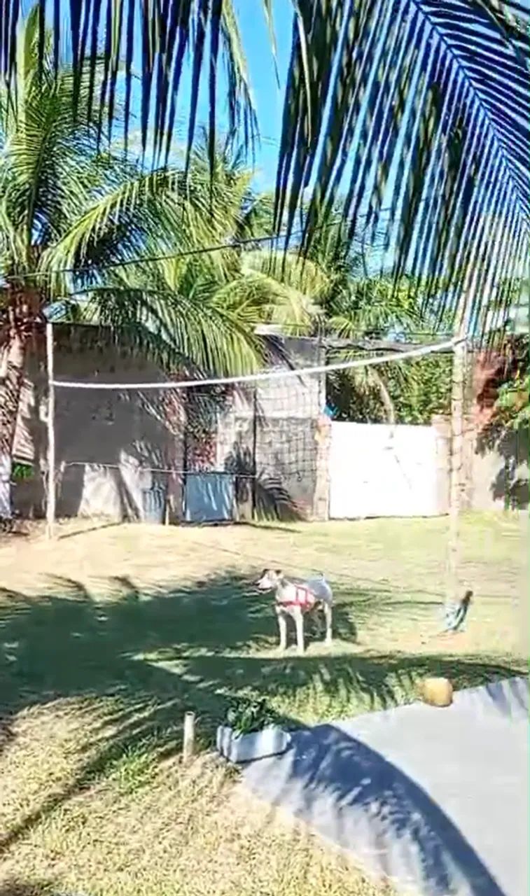 Aluguel sítio com piscina para eventos em MANAUS - Foto 2