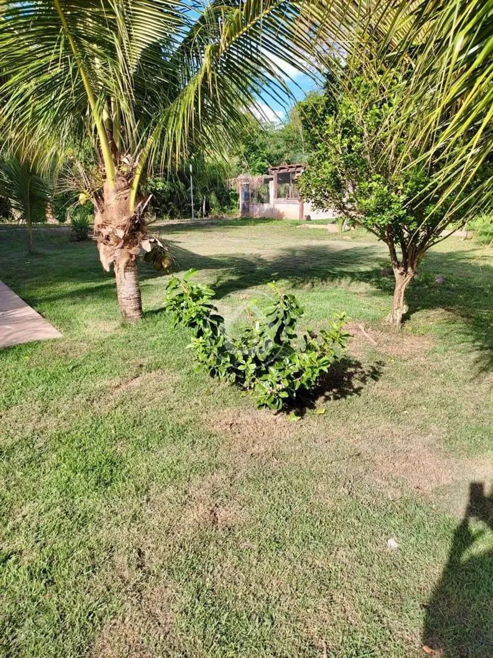 CHÁCARA SAIDA SERRA DE SÃO VICENTE - Foto 3