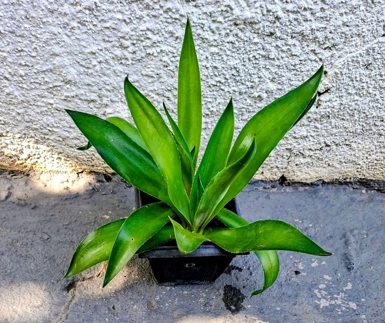 Vendo  - Foto 2