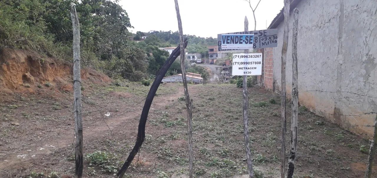 Terreno  - Foto 5