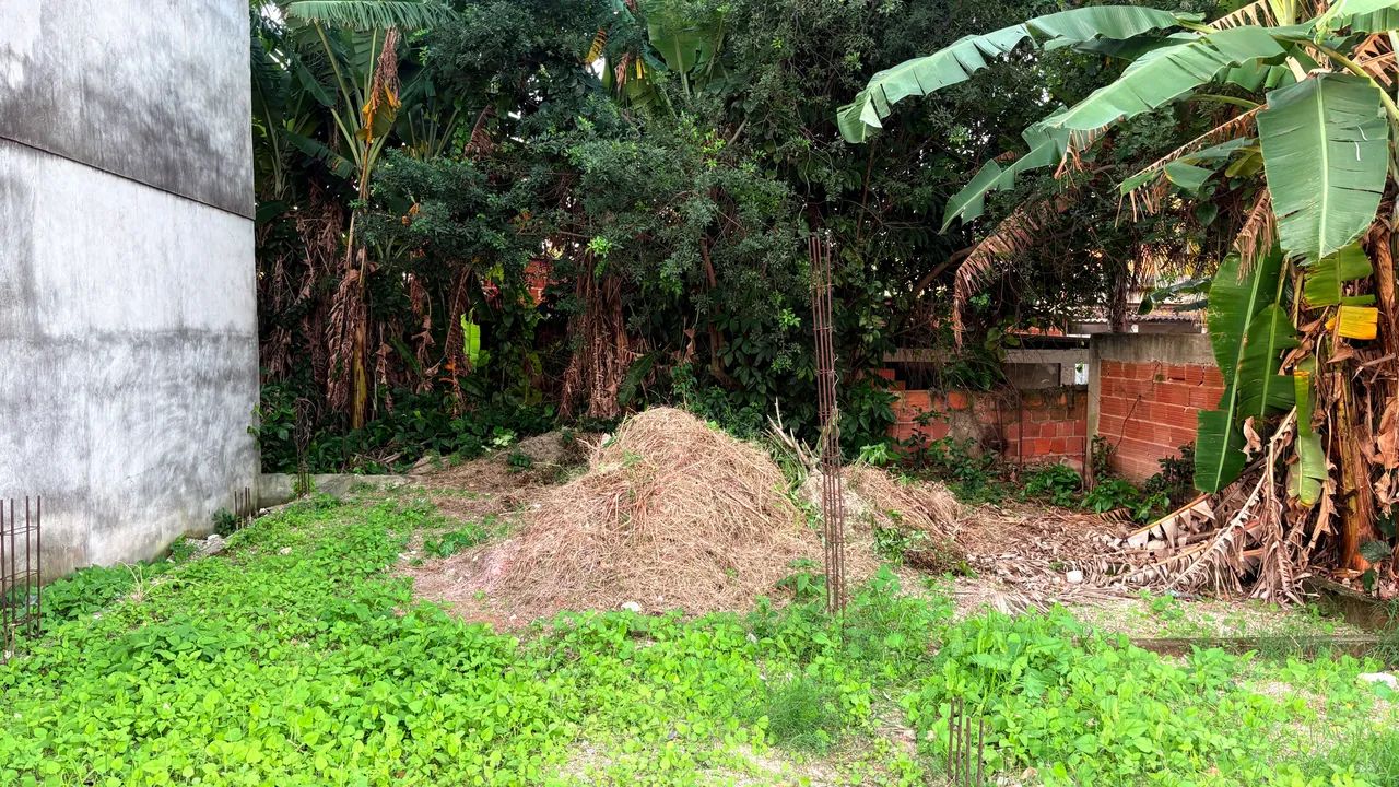 Vendo terreno em Santa Cruz  - Foto 4