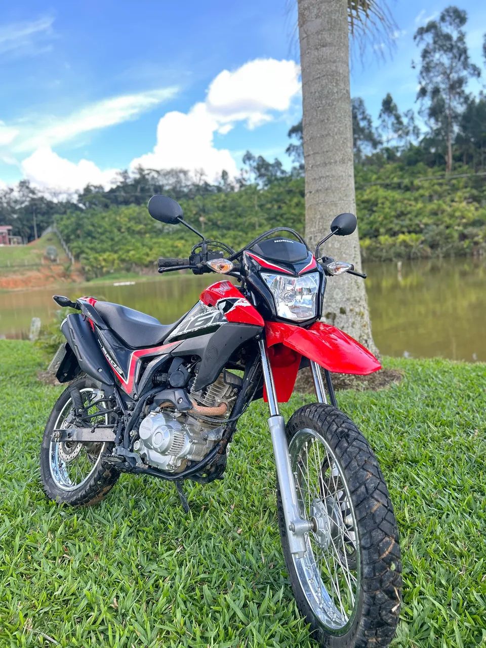Venda - Foto 4