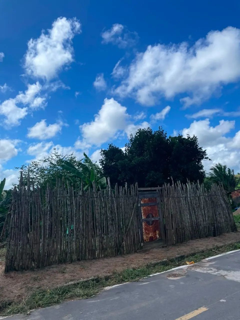 Terreno