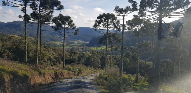 Sítio em Urubici/chácara em Urubici/ - Foto 3