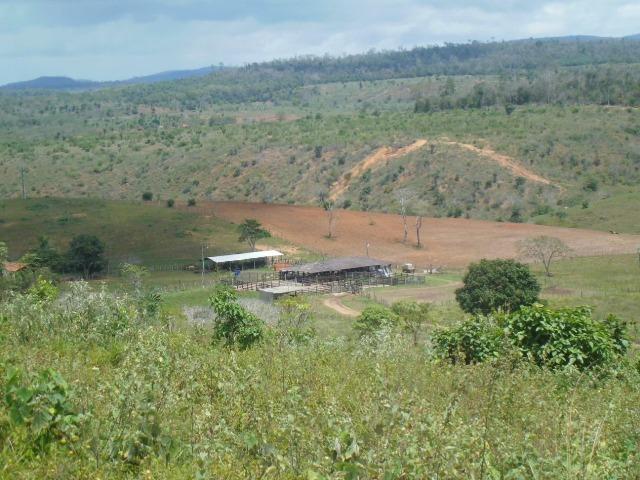 Fazenda em Mundo novo - Foto 14