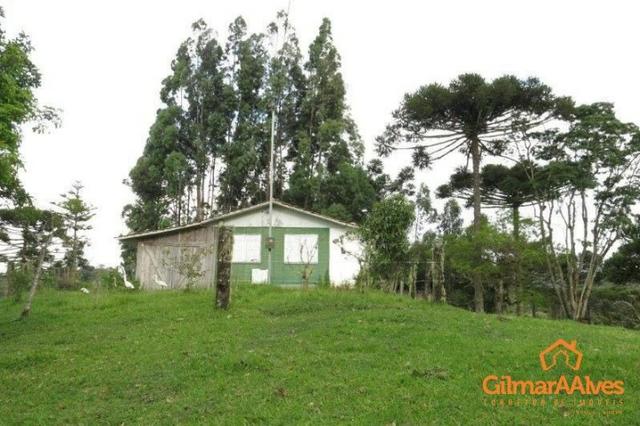 Chácara para Venda, 10.158,53 m², São Bento do Sul / SC, bairro Rio Vermelho - Foto 8