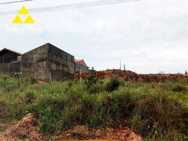 Terreno à venda, 600 m² por r$ 170.000,00 - itajuba - barra velha/sc - Foto 5