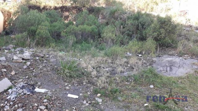 Terreno em caxias do sul