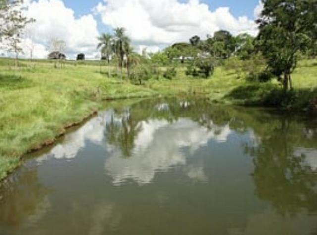 Fazenda 700 Alqueires - Região de Presidente Prudente-SP - Foto 10