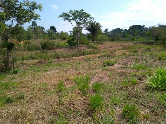 Vende se na Vila do v - Foto 4