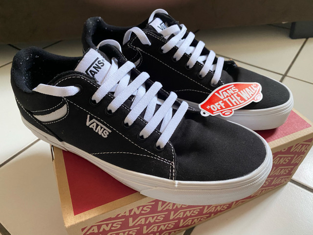 vans 40