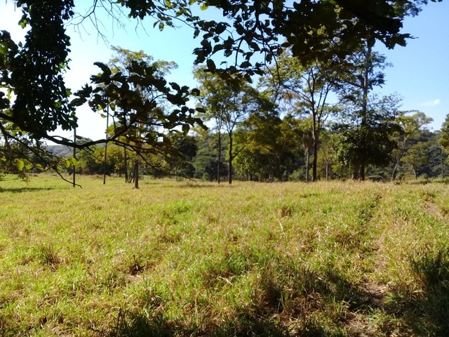 Fazenda de 343 Alqueires em Formosa Go  - Foto 4