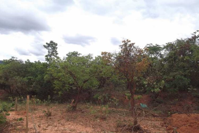 Lote 1.00m², com água, luz /Serra do Cipó, temos varias opções - Foto 3