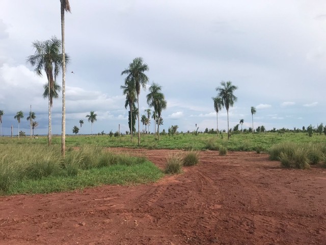 Fazenda de 9.249 hectares  - Foto 4