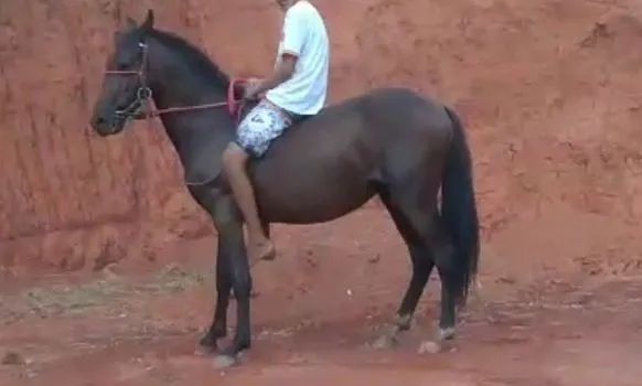 3,500 IMPERADOR MM/MP - Foto 2