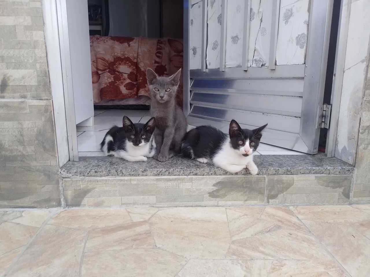 Doação solidária  - Foto 3