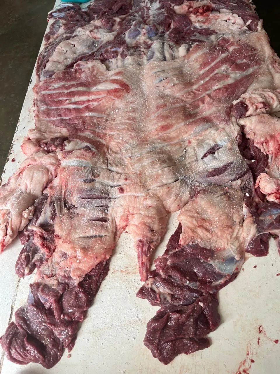 MANTA DE CARNEIRO - Foto 5