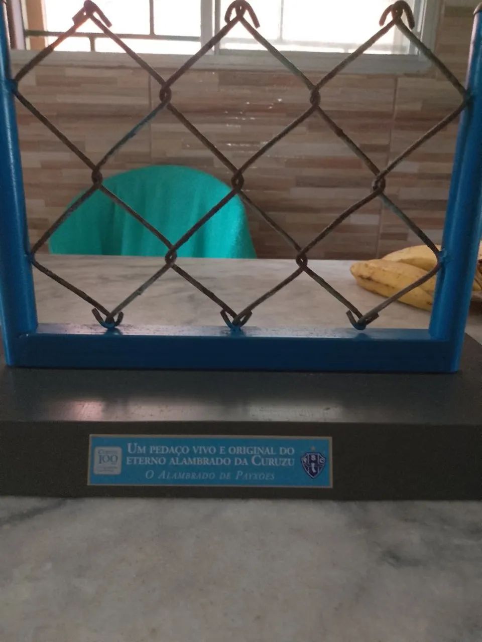 Pedaço vivo histórico do alambrado da curuzu - Foto 2