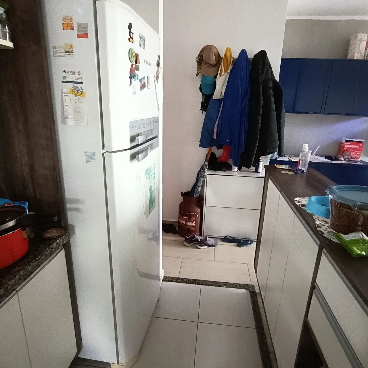 Geladeira Electrolux df47