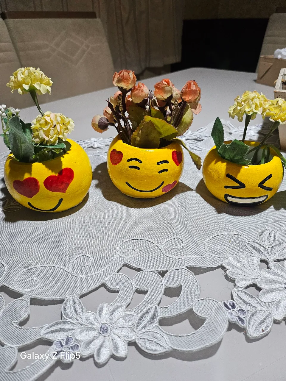 Vasos de plantas decorativos de emoji