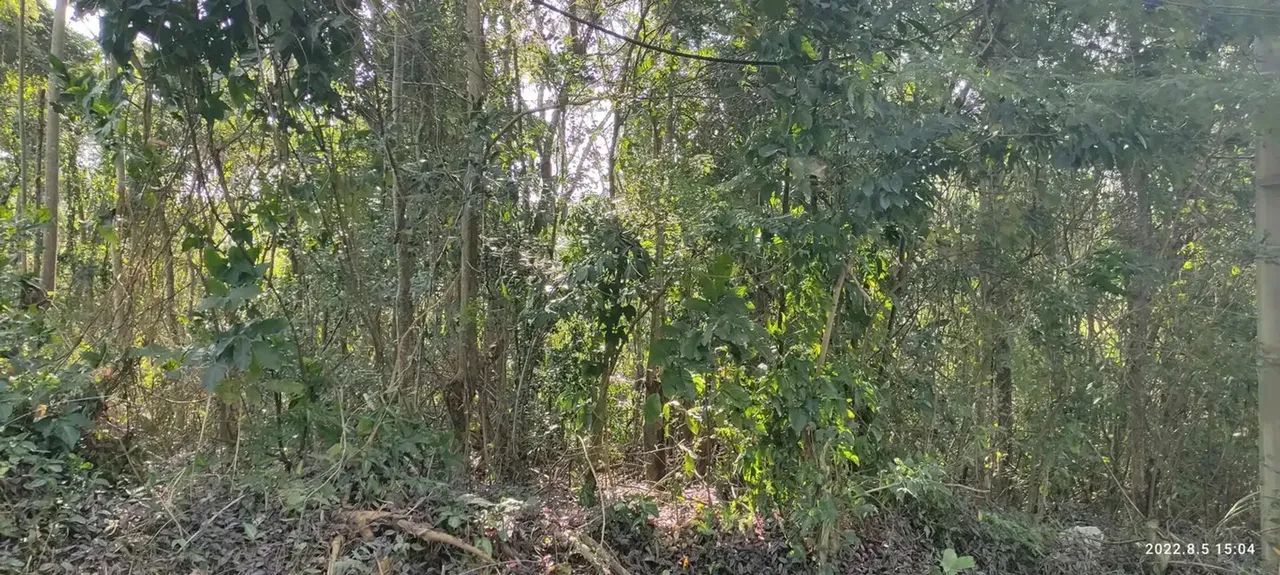 Lote em Rua Taquara - Itaocaia Valley (Itaipuaçu) - Maricá/RJ - Foto 8