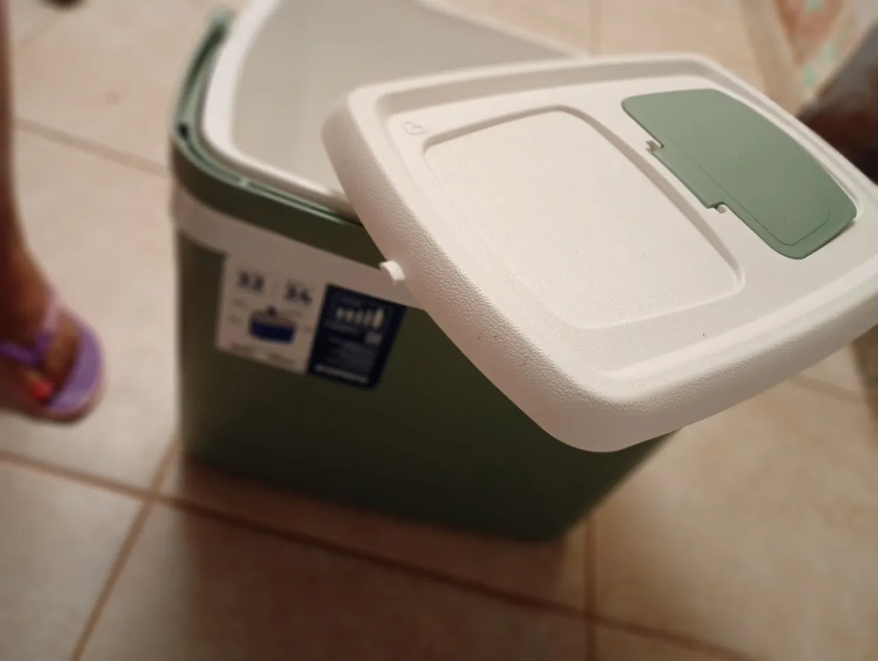 Caixa Térmica com Tampa Removível - Ideal para Refeições e Bebidas
