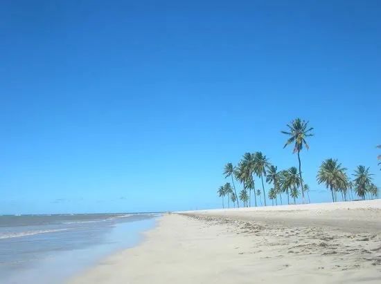 Foto - João Pessoa - Jardim Cidade Universitária