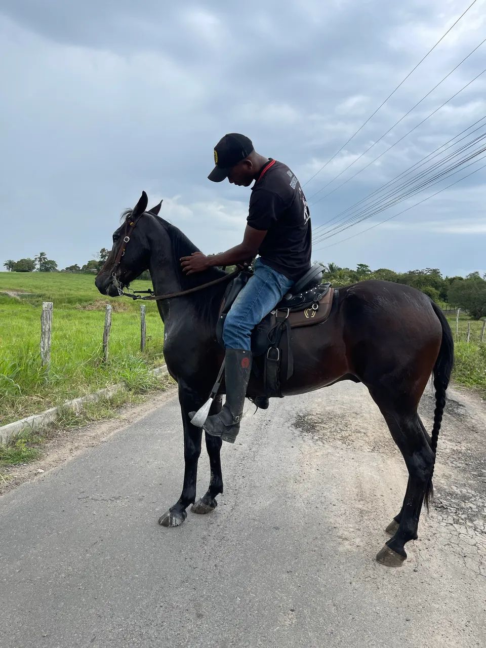 Cavalo Mangalarga Registrado  - Foto 4