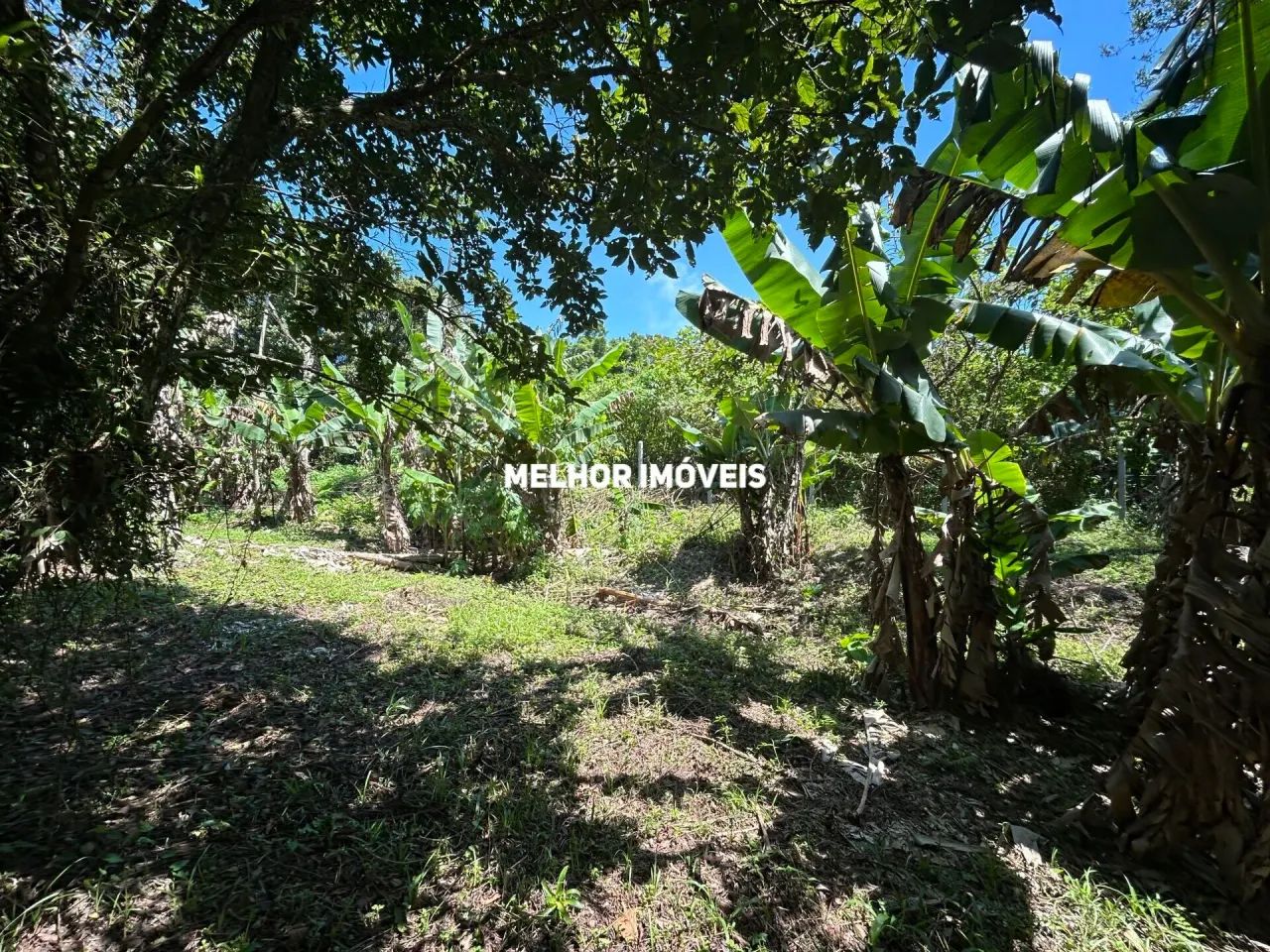 Terreno à Venda com 3.260m² - Praia do Estaleiro - Balneário Camboriú -SC - Foto 3