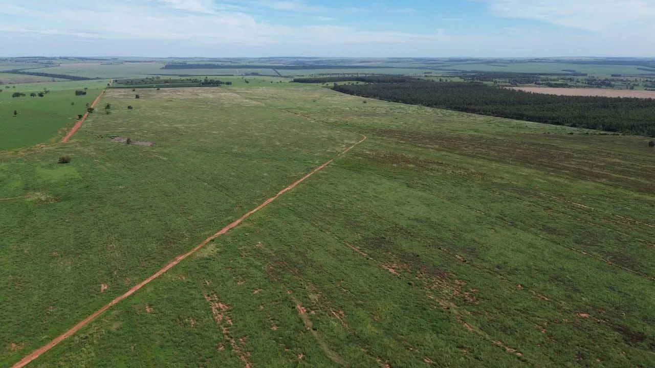 Fazenda 189 alqueiro 