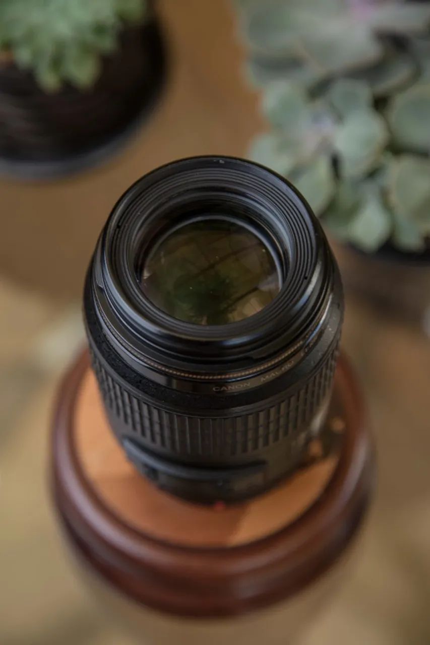 Lente canon 100mm 2.8 macro - Foto 2