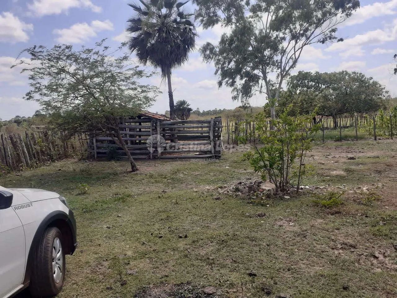 Sítio à venda, zona rural, José de Freitas, PI - Foto 3