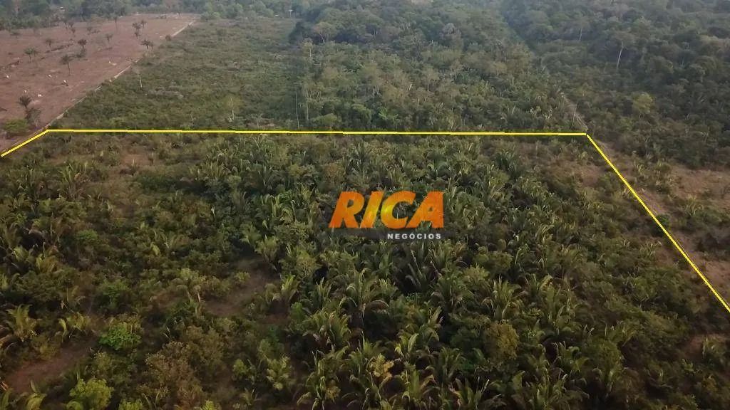 Sítio à venda, 250000 m² por R$ 750.000,00 - Área Rural de Porto Velho - Porto Velho/RO - Foto 2