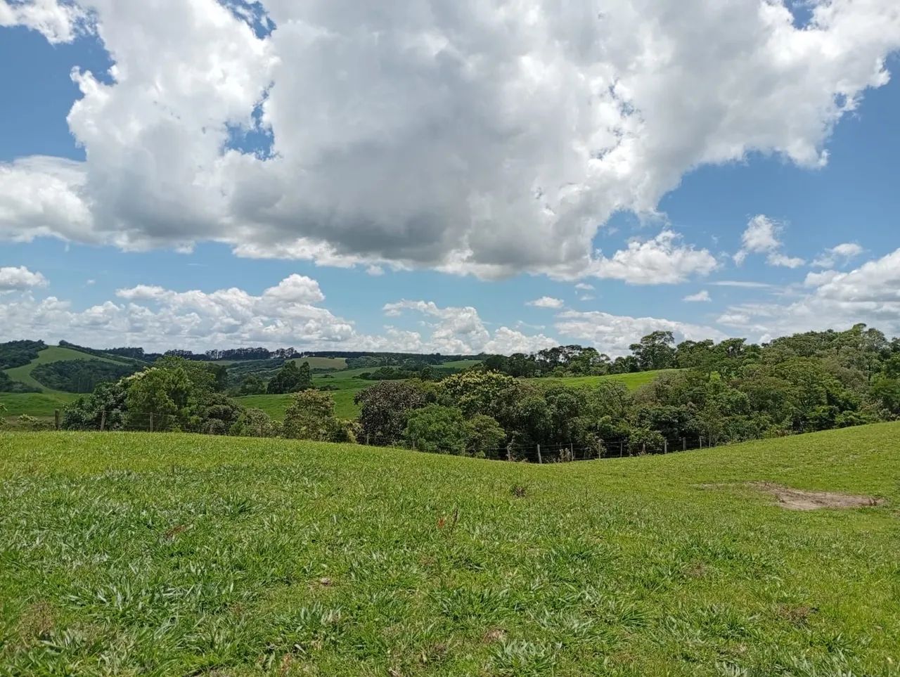 Fazenda 113.8  alqueires 