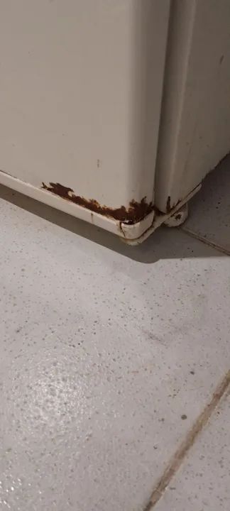 Geladeira Conservada Funcionando Bem - Foto 4