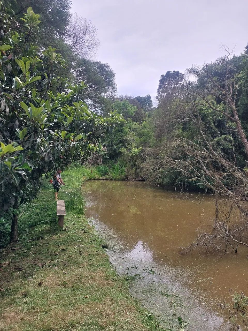 Sitio com casa em Alfredo wagner  - Foto 6