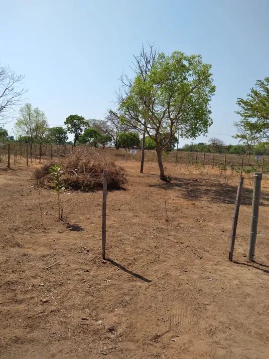 Lote a 300 metros do rio.vermelho Local Tranquilo
